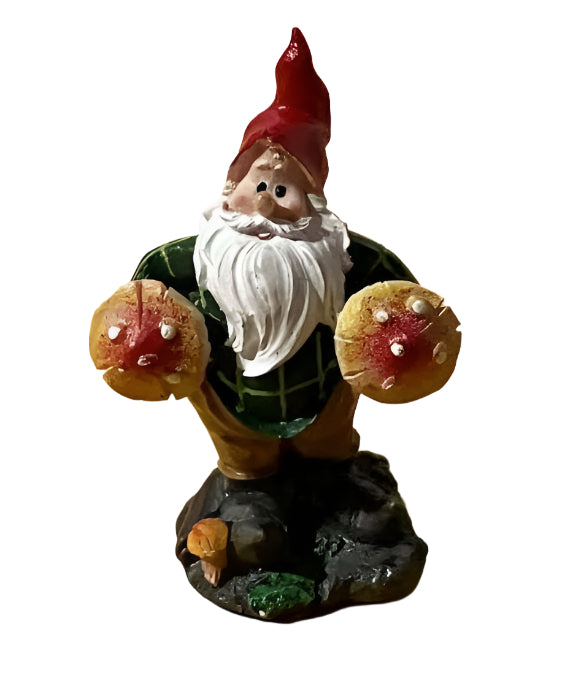 Miniature Gnome Standing with 2 Mushrooms, Fairy Garden Gnome, 3