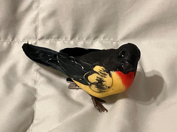 Pair of Black, Red & Yellow Birds, 4.5