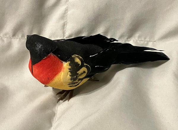 Pair of Black, Red & Yellow Birds, 4.5