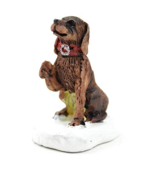 Miniature Brown Dog