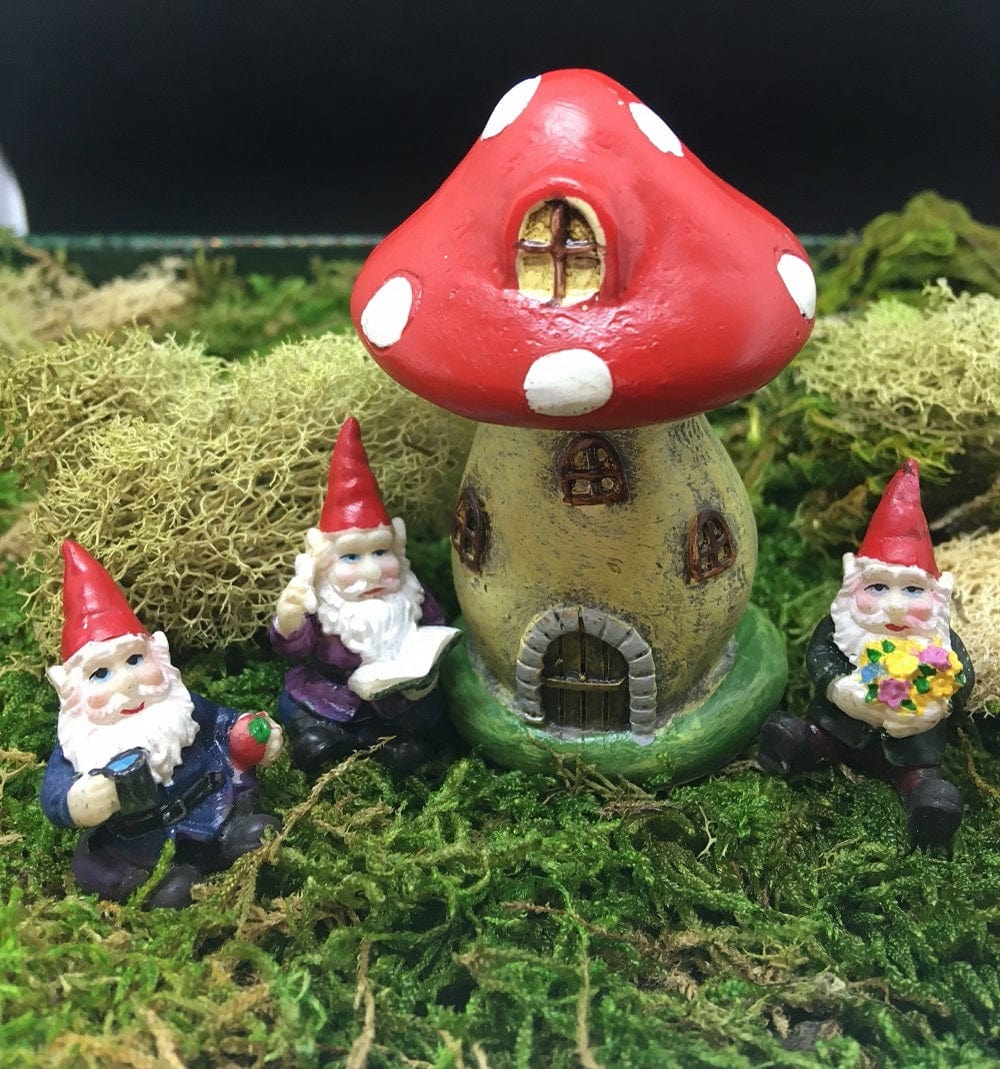 Gnomes