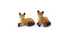 Pair of Miniature Foxes