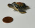 files/il_fullxfull.7516087640_g32c.jpg