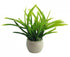 Dollhouse Miniature Artificial Green Plant