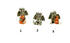 products/gg2.jpg