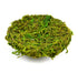 products/il_fullxfull.1718695225_m6u4.jpg