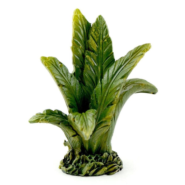 Choice of Tropical Island Plant