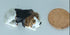 products/il_fullxfull.2221412050_fivs.jpg