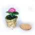 products/il_fullxfull.2230119754_20tt.jpg
