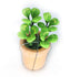 products/il_fullxfull.2254182872_jng5.jpg