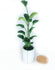 products/il_fullxfull.2301748433_gima.jpg