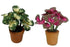 products/il_fullxfull.2365164386_g9ce.jpg