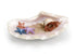 products/il_fullxfull.2820828022_fe6s.jpg