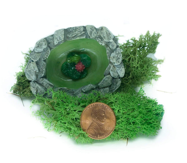 Micro Mini Pond with Frog, Spring Pond, Fairy Garden Landscaping, Terrarium Pond, Zen Garden Pond