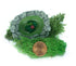 Micro Mini Pond with Frog, Spring Pond, Fairy Garden Landscaping, Terrarium Pond, Zen Garden Pond