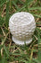 products/il_fullxfull.3146320598_hxug.jpg