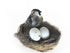 products/il_fullxfull.3608119442_h318.jpg