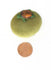 products/il_fullxfull.3677347146_a5ry.jpg