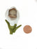 products/il_fullxfull.3677352356_5zg1.jpg