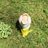 products/il_fullxfull.3722562743_4ivv.jpg
