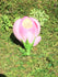 products/il_fullxfull.3722576621_dgid.jpg