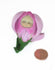 products/il_fullxfull.3724947583_fqha.jpg