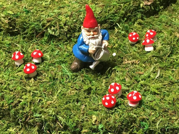 Red  and White Spotted Mushrooms,  Miniature Mushrooms for Terrarium, Crafts, Fairy Garden