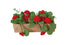 products/il_fullxfull.3941189811_mfjg.jpg