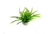 products/il_fullxfull.4488120820_gg3z.jpg