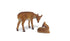 products/il_fullxfull.4614568678_f7ky.jpg