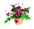 products/il_fullxfull.5045327000_den7.jpg