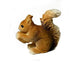 products/il_fullxfull.5093661317_e0vn.jpg