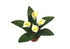 products/il_fullxfull.5107405606_b8qr.jpg